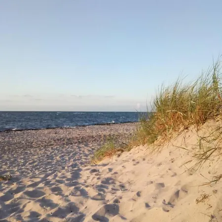 Schulzenhufe *